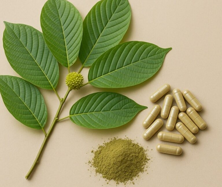 kratom plant